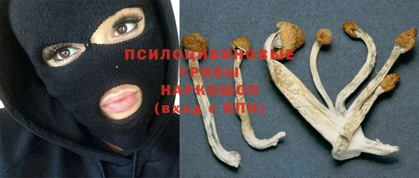 марихуана Богородицк
