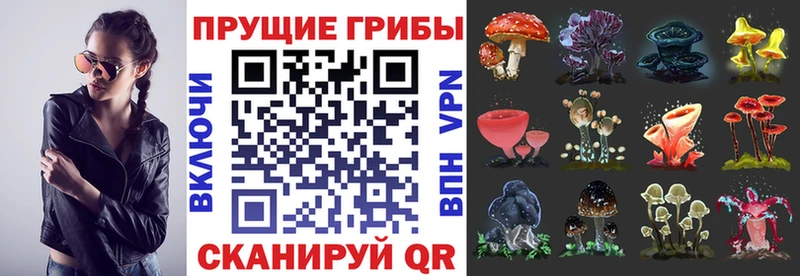 Псилоцибиновые грибы MAGIC MUSHROOMS  kraken   Барабинск 